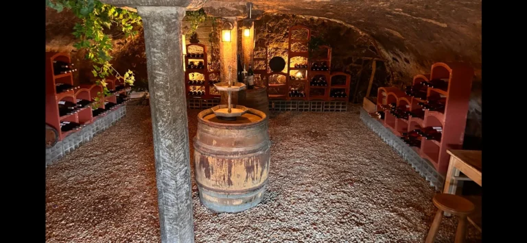 08dd3fe0-04d6-471f-b780-c0e8c65bdb2d