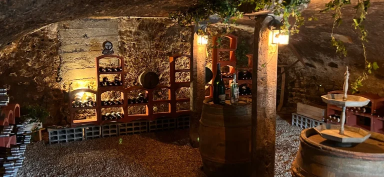 1f29a755-695c-4f11-b61f-8047cde55f7b