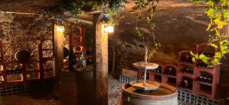 ab47a395-4653-4900-a2e6-ea44c51b38a0