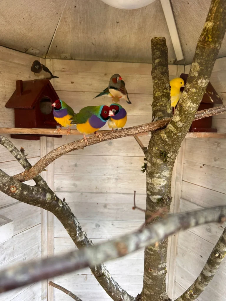 fbf8c404-1544-41f2-b876-b40d9215ef5f