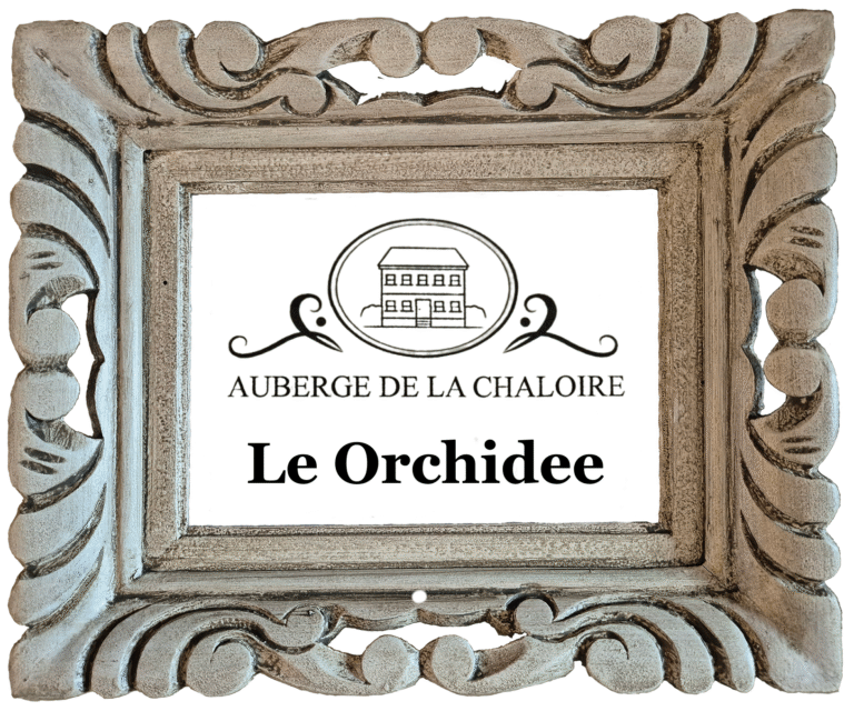 le orchidee